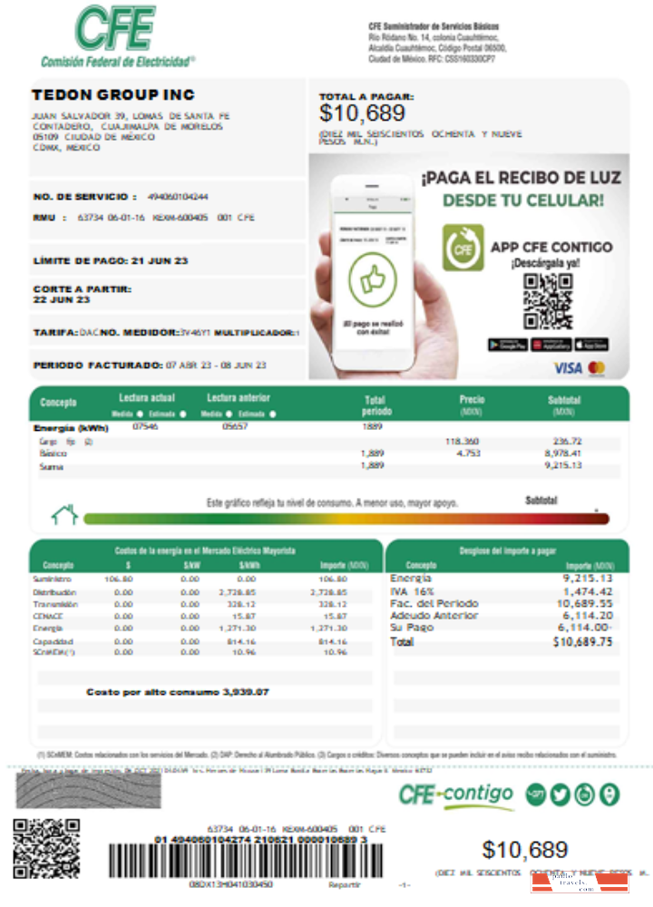 Federal Electricity Commission (CFE) utility bill SCR page 1 PSD template